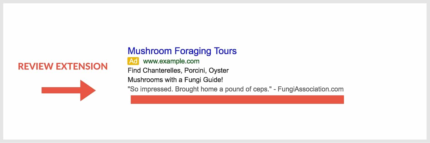 Review Extension Example
