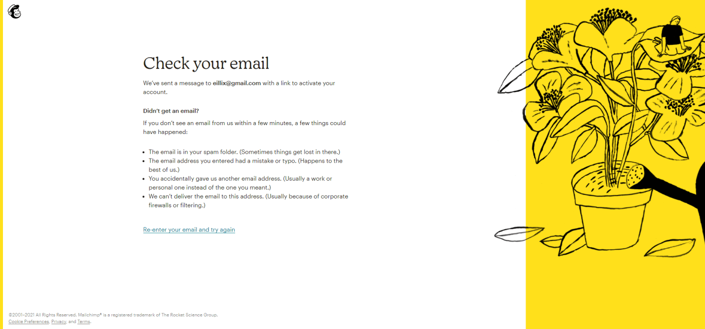 mailchimp email confirmation